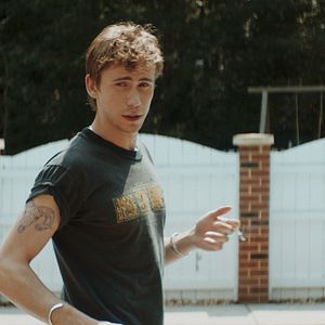 Foto Griffin In Summer