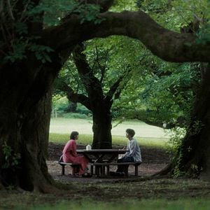 Foto Leave the Cat Alone