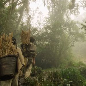 Foto En El Valle De Las Sombras