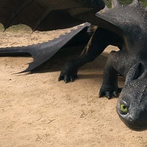 Foto Cómo entrenar a tu Dragón