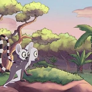 Foto Bem, un lémur en fuga