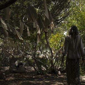 Foto La Invención de las Especies