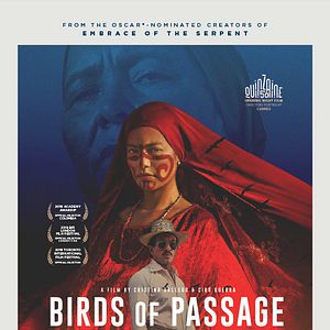 Foto Pájaros de Verano