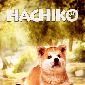 Foto Historia de Hachiko