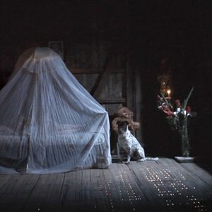 Foto Silencio en la Tierra de los Sueños