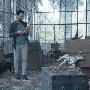 Foto Jugaremos en el bosque