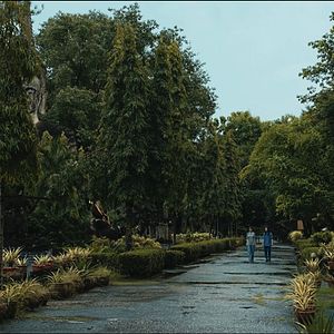 Foto The Observer′s Journal