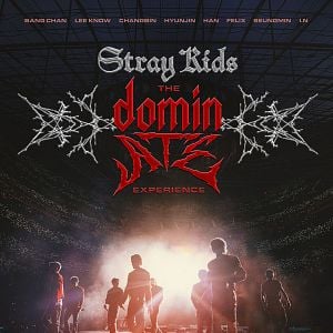 Foto Stray Kids: The dominATE Experience