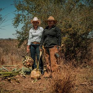 Foto Las hijas del maguey