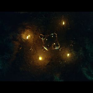 Foto La isla de las muñecas