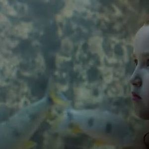 Foto La Sociedad del Afecto