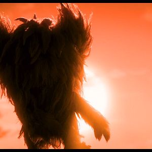 Foto Shaun El Cordero: El Monstruo de Mossy Bottom