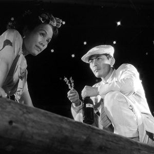 Foto El perro rabioso