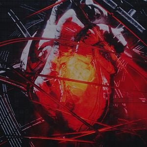 Foto  Ado SPECIAL LIVE ‘Shinzou’