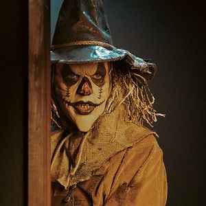 Foto La Noche Del Espantapájaros