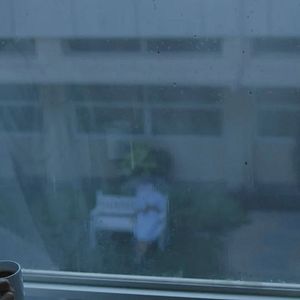 Foto What Happened to the Wolf?