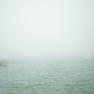 Foto El llanto de las tortugas