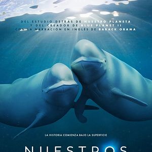 Foto Nuestros océanos