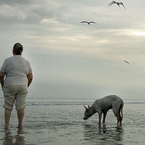 Foto Silencio en la Tierra de los Sueños