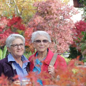 Foto Surviving the Silence