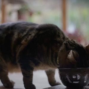 Foto Haz Que Regrese