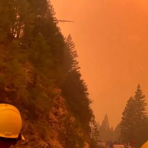 Foto The Here Now Project