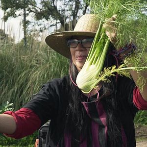 Foto Semillas que caen lejos de sus raíces