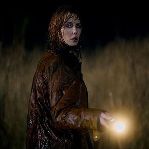 Foto Under Salt Marsh