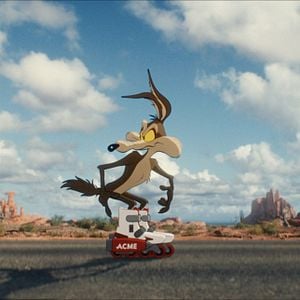 Foto Coyote vs. ACME