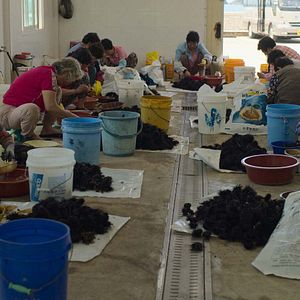 Foto Las últimas mujeres del mar