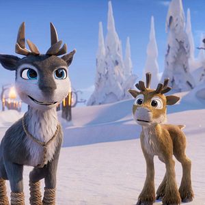 Foto Niko: La aventura de las narices frías