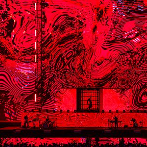 Foto  Ado SPECIAL LIVE ‘Shinzou’