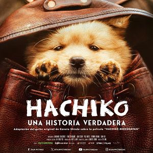 Foto Hachiko: Una historia verdadera