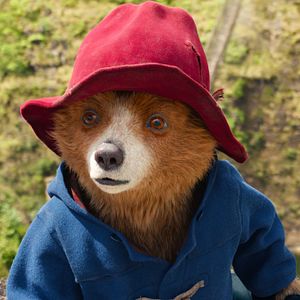 Foto Paddington Aventura En La Selva