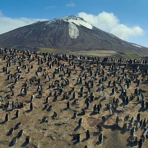 Foto Nuestros océanos
