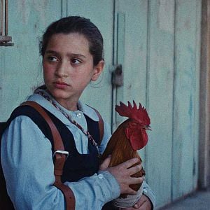 Foto The President’s Cake