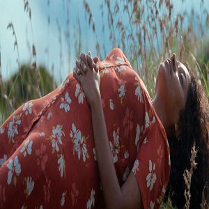 Foto Turtle’s Gaze on Spying Stars