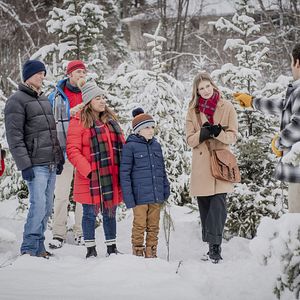 Foto My Favorite Christmas Tree