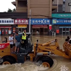 Foto The Here Now Project