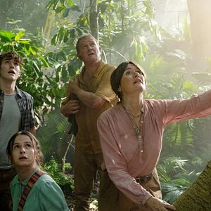 Foto Paddington Aventura En La Selva