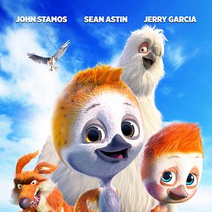 Foto Ploey: Cabeza de chorlito