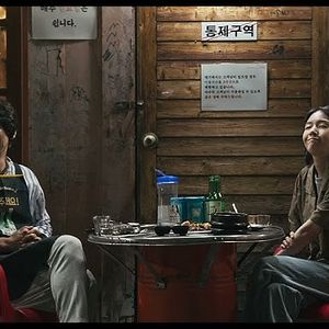 Foto The Observer′s Journal