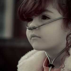 Foto El crepúsculo de las especies