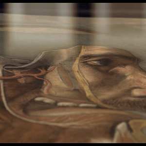 Foto Ramón y Cajal: Dibujos en la retina
