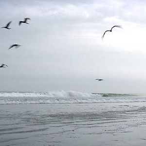 Foto Silencio en la Tierra de los Sueños