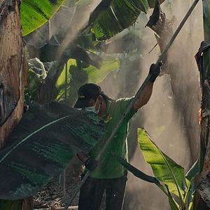 Foto Los días que vivimos