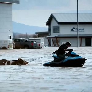 Foto The Here Now Project