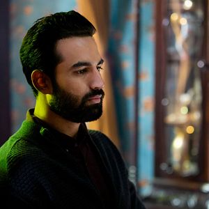 Foto Solitaria es la noche: Los crímenes de la familia Bansal