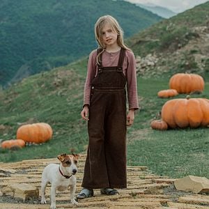 Foto El Maravilloso Mago De Oz