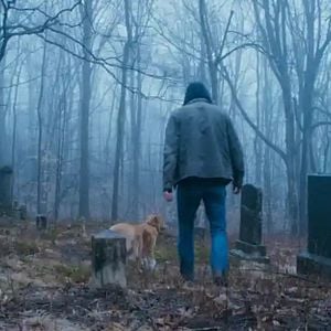 Foto Good Boy: Confía en su instinto